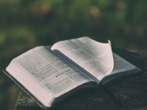 ¿Qué es la Teología Bíblica?
