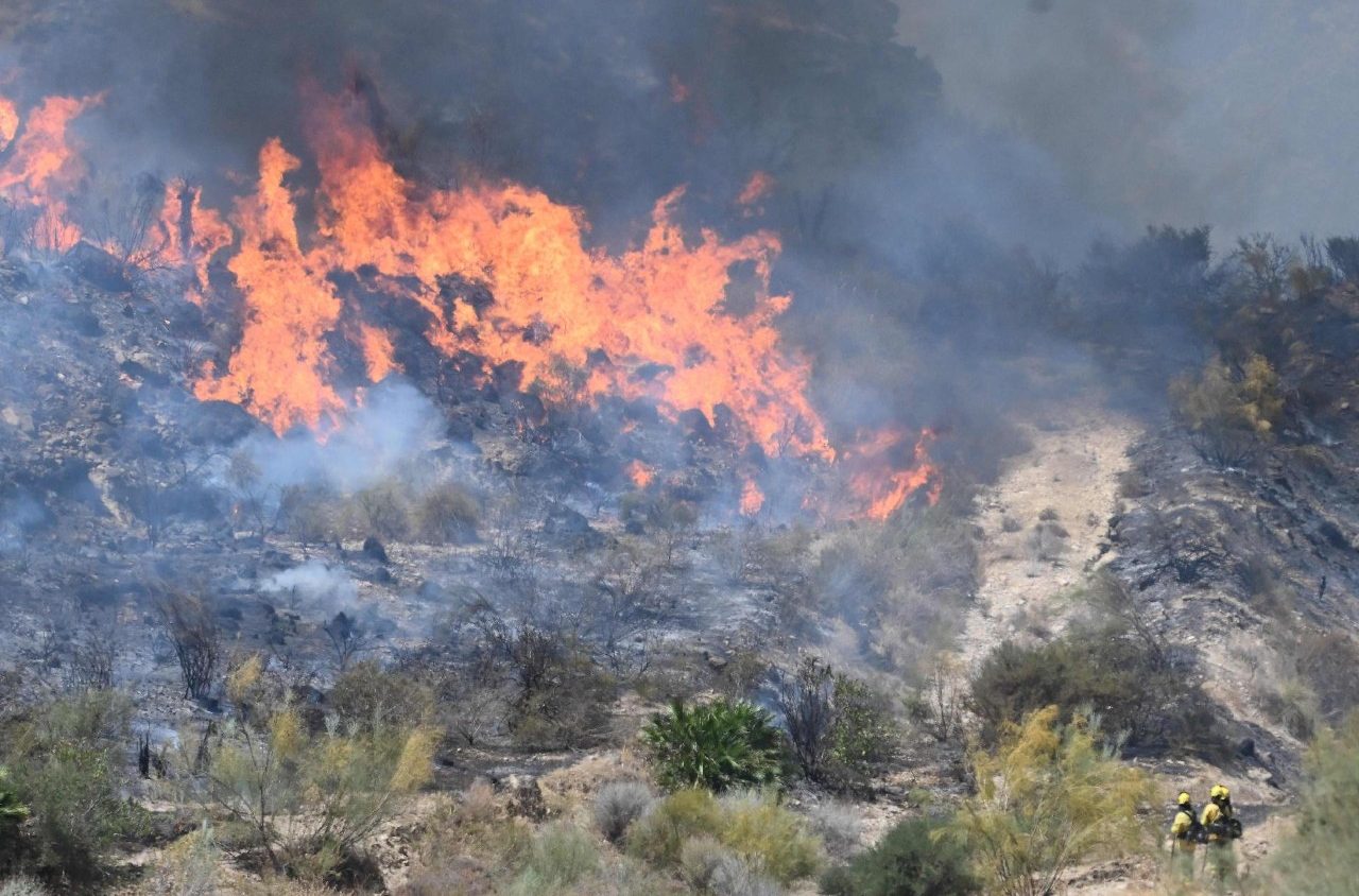 Solidaridad fraterna en Almería